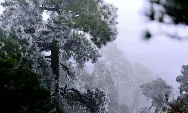 燃烧吧大脑装瓶子游戏